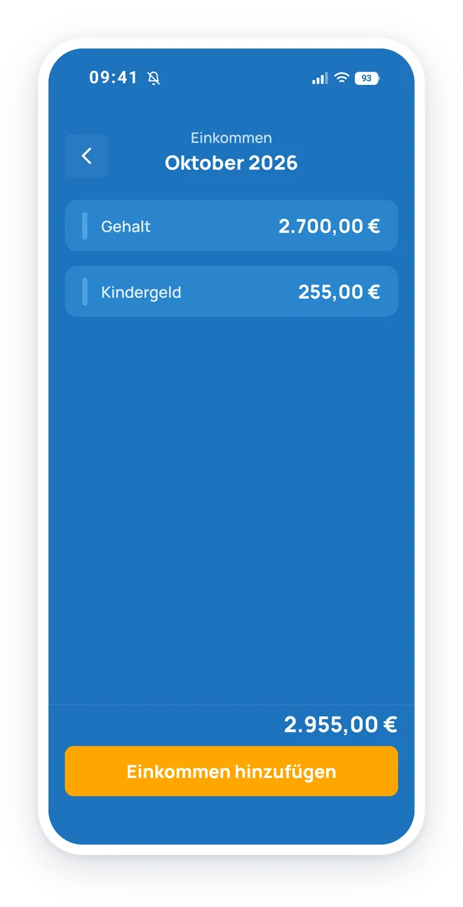 Einkommen in der App eintragen